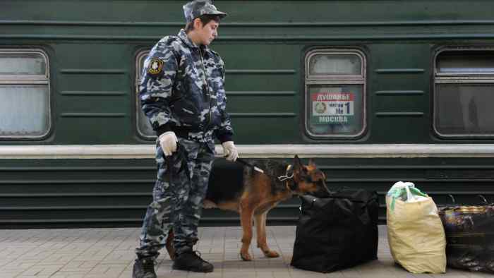 Можно ли провозить в поезде шокер?